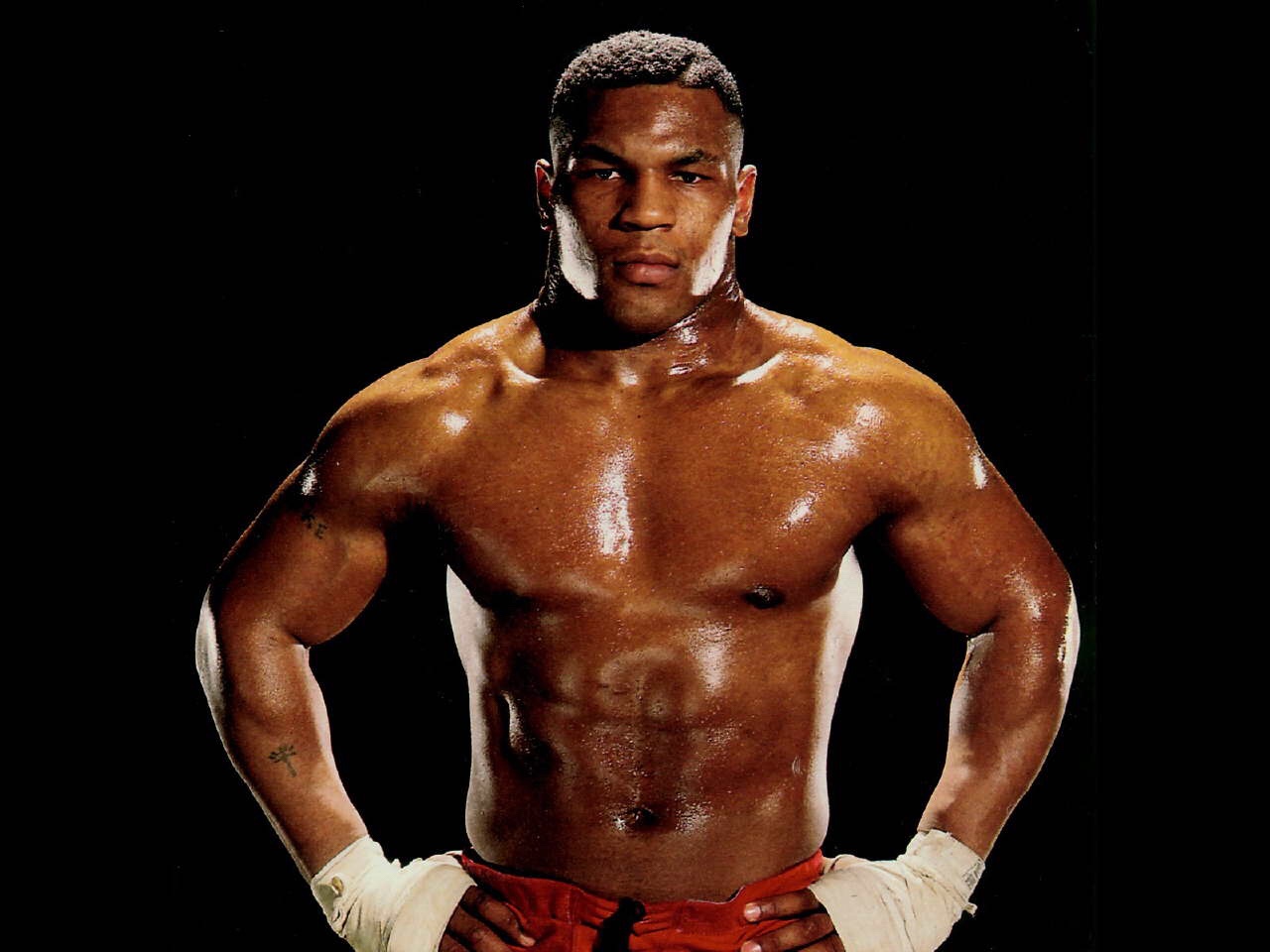 Phoenix JKD Institute: Essential Course Synopsis Guide (ECSG), Not a Manual
