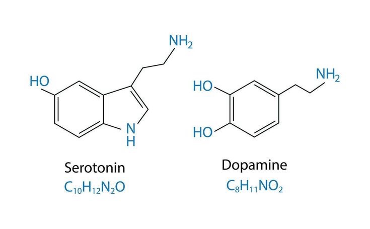 The Hormonal Benefits of a High-Potency Diet"