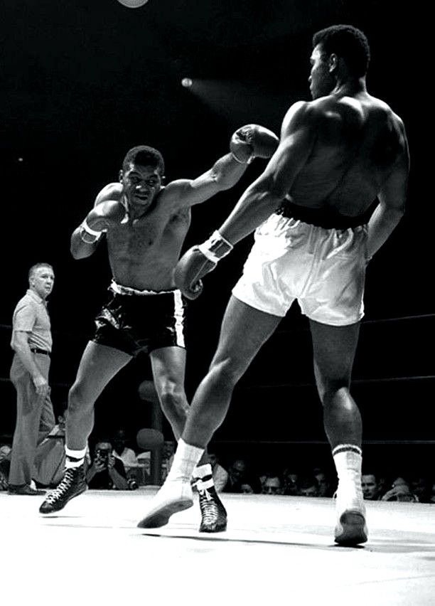 Truth in Motion: Evidence as the Foundation of Sports Excellence